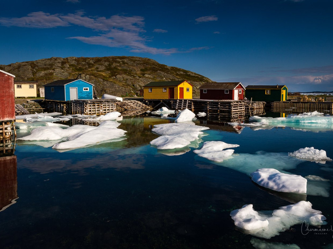 Twillingate Century House Bed and Breakfast主图