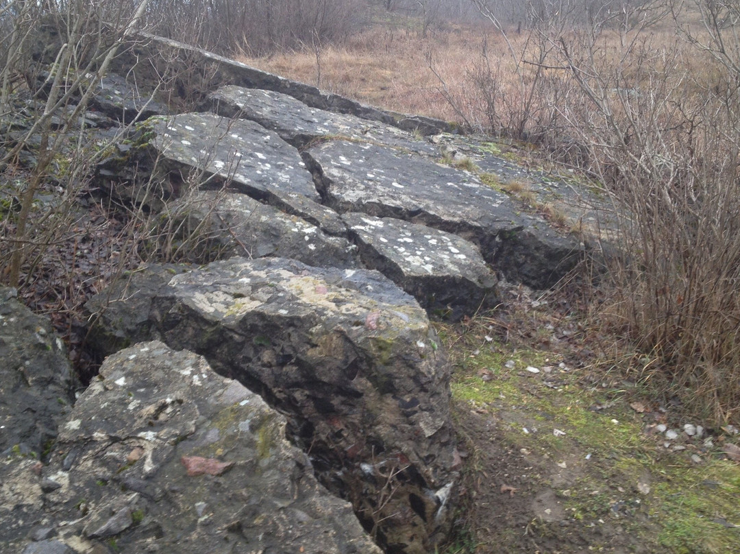 Dot #112-Mohyliv-Podilskyi必去景点