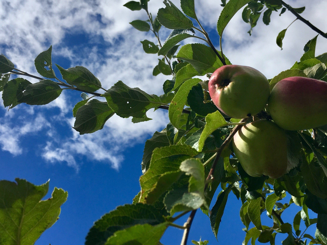 Granja Educativa de Villarrica El Dorado-比亚里卡必去景点