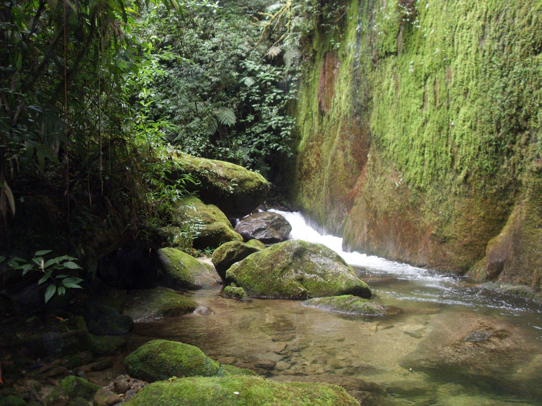 Saudade Waterfall景点图片