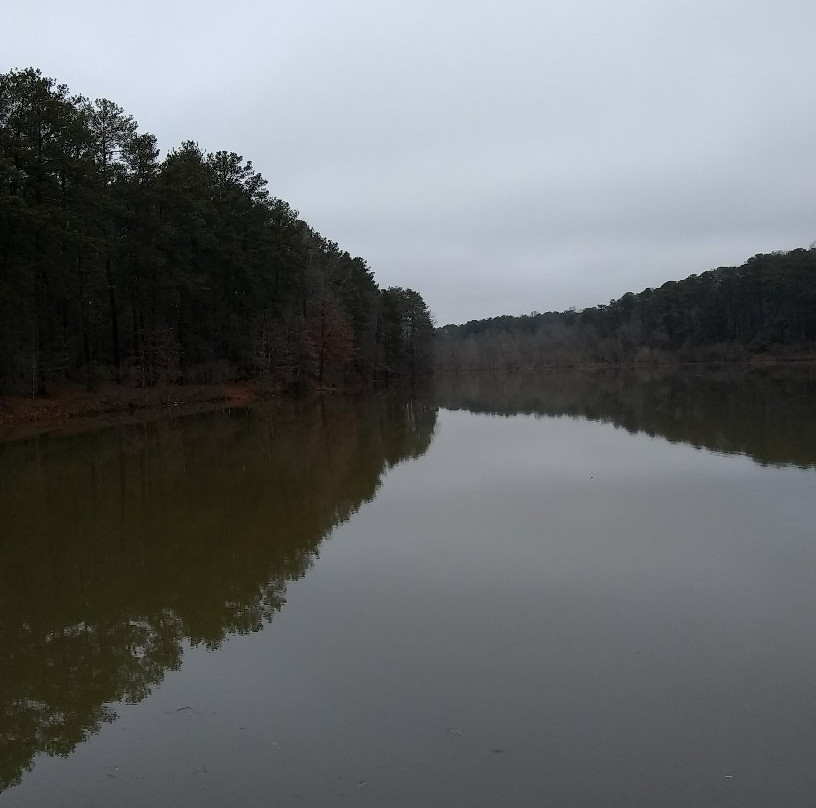 Murphey Candler Park-Brookhaven必去景点