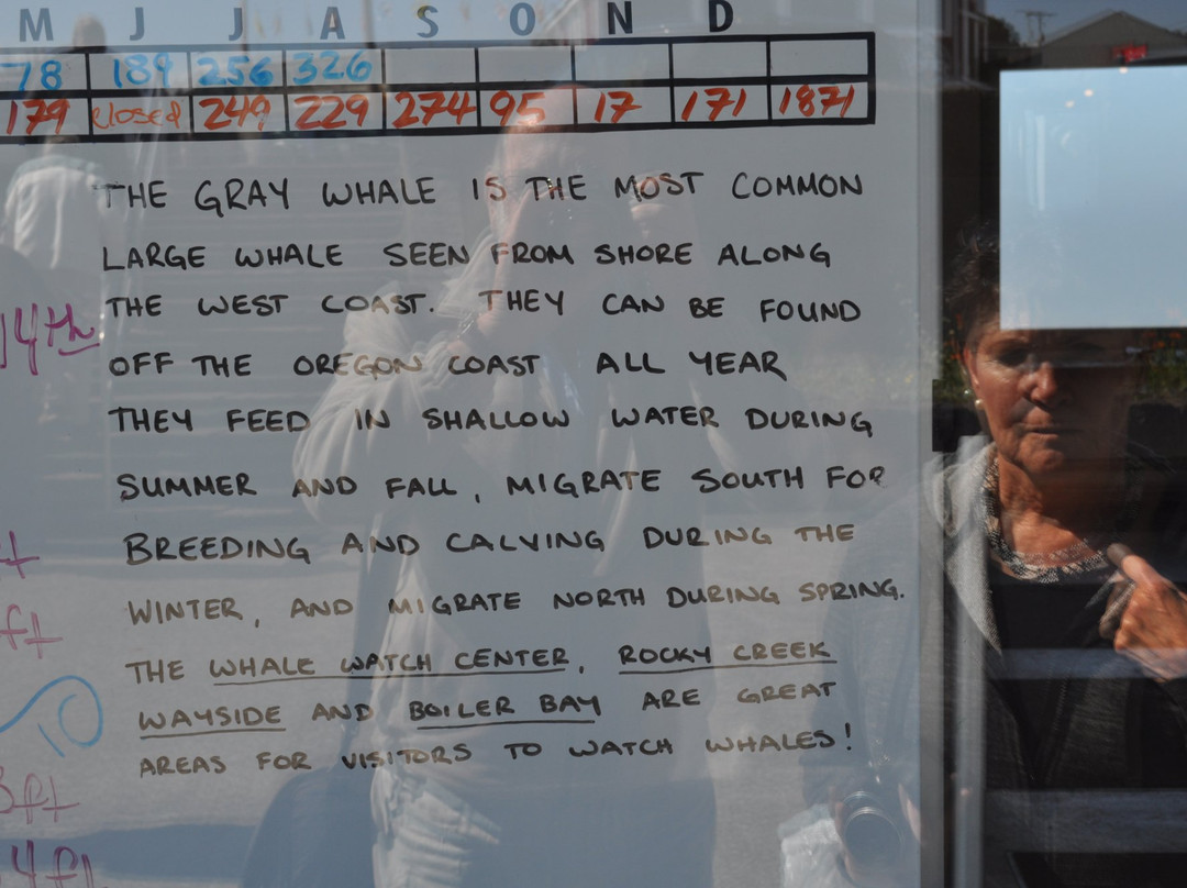 Whale Park-Depoe Bay必去景点