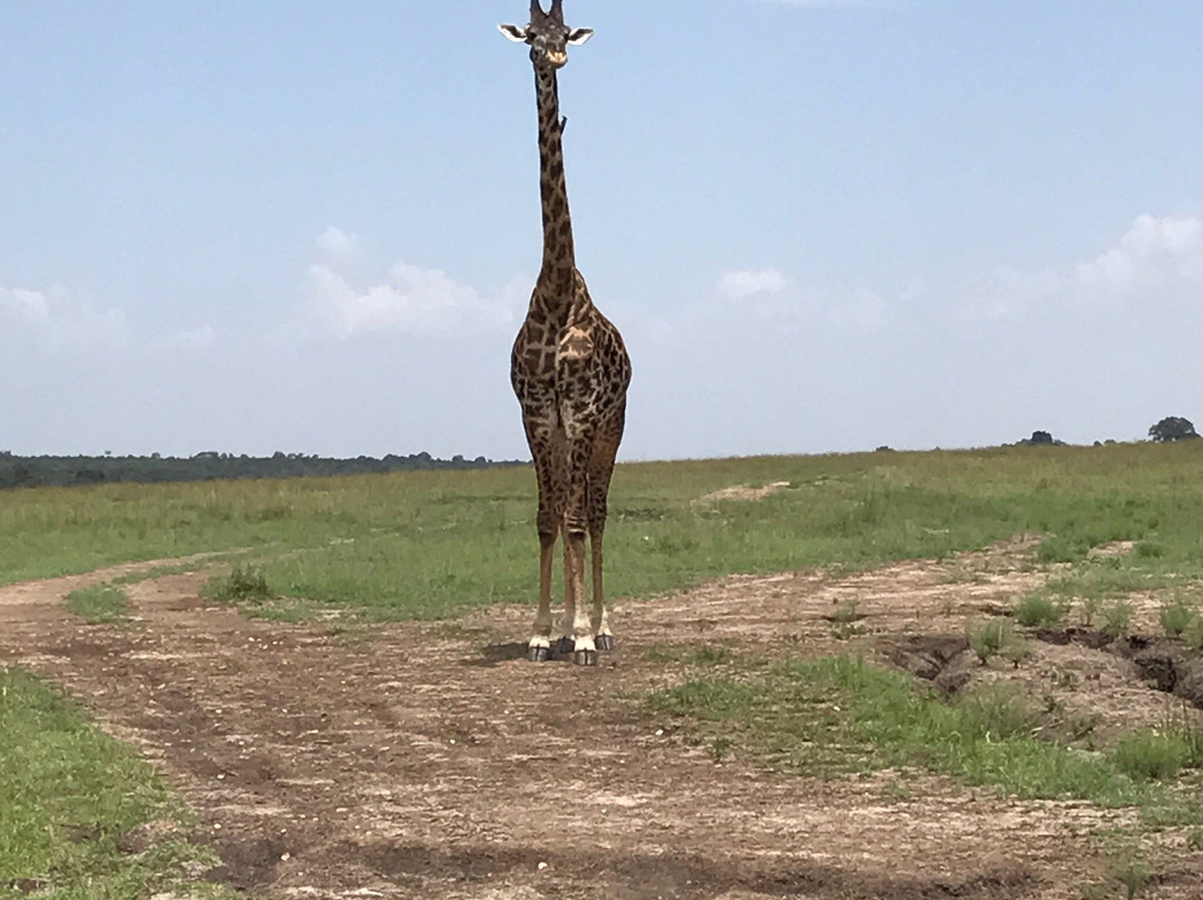 Explorer Kenya景点图片