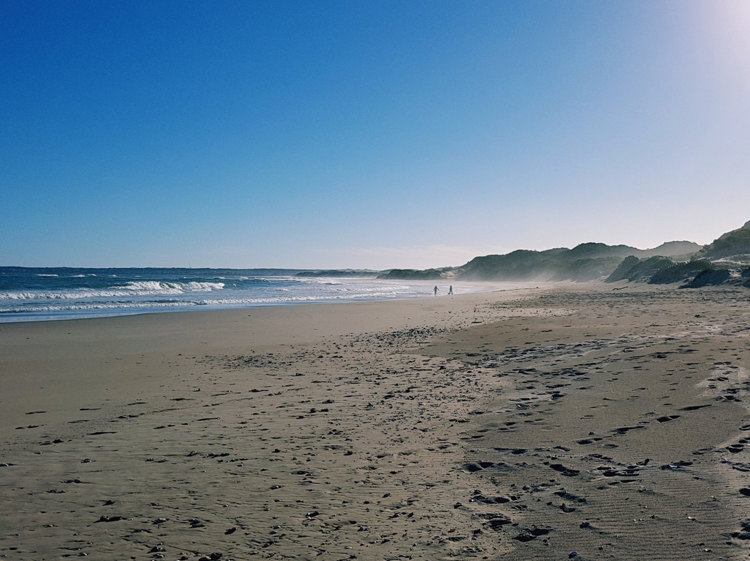 Gaestehaus Saxonia主图