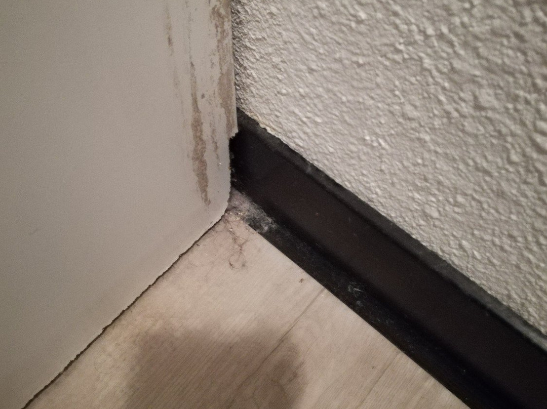 特内奥公寓酒店主图