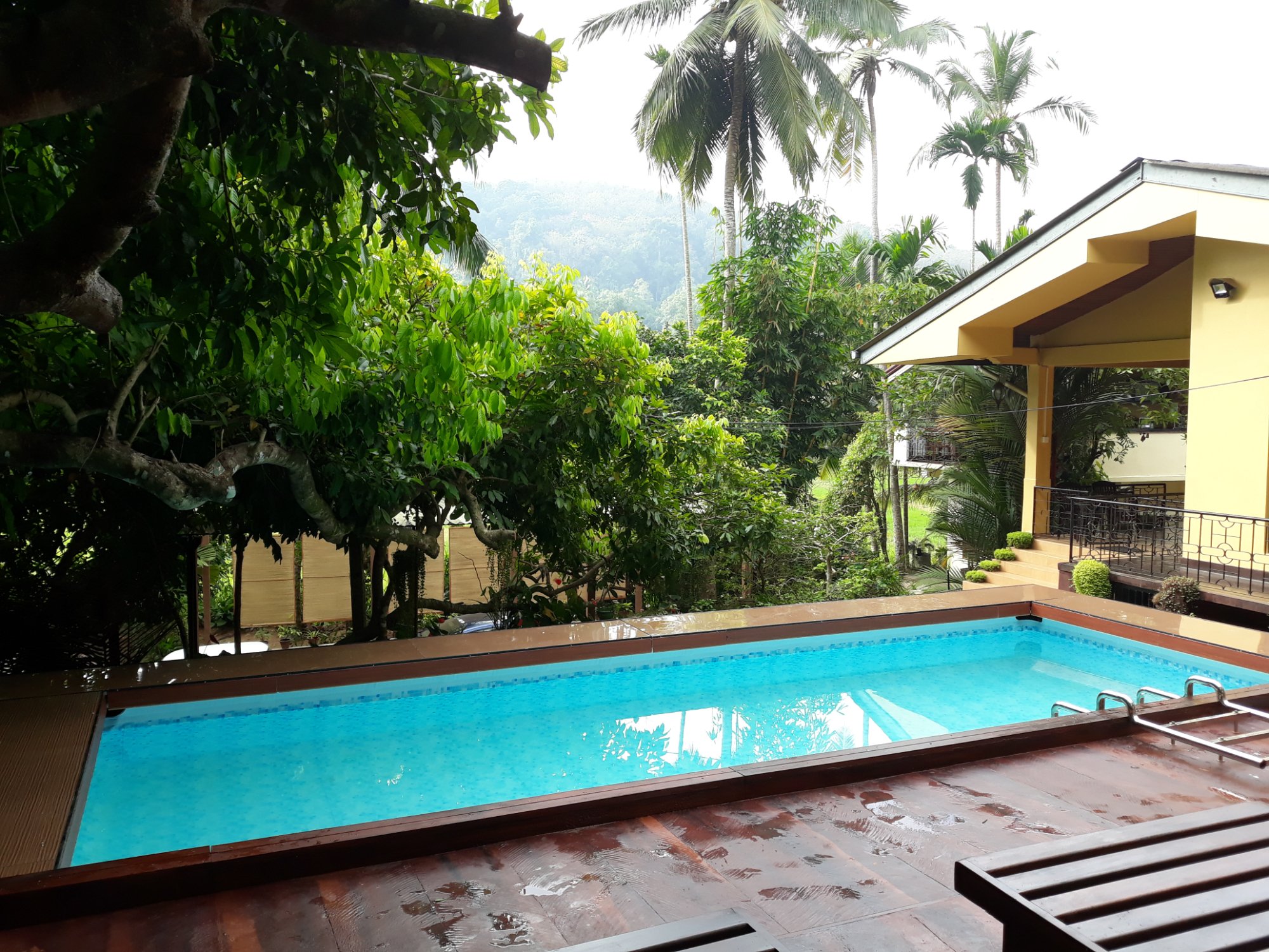 Green View Home Stay-官方