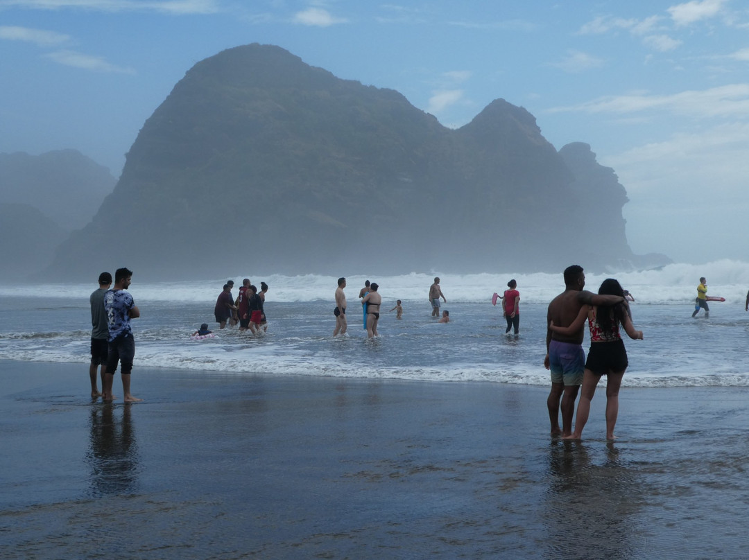 Bike and Hike Limited-奥克兰中心地区必去景点