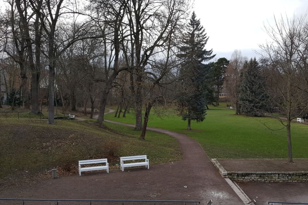 Weimarhallenpark景点图片