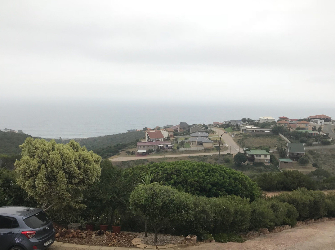 Amzee Bokmakierie主图