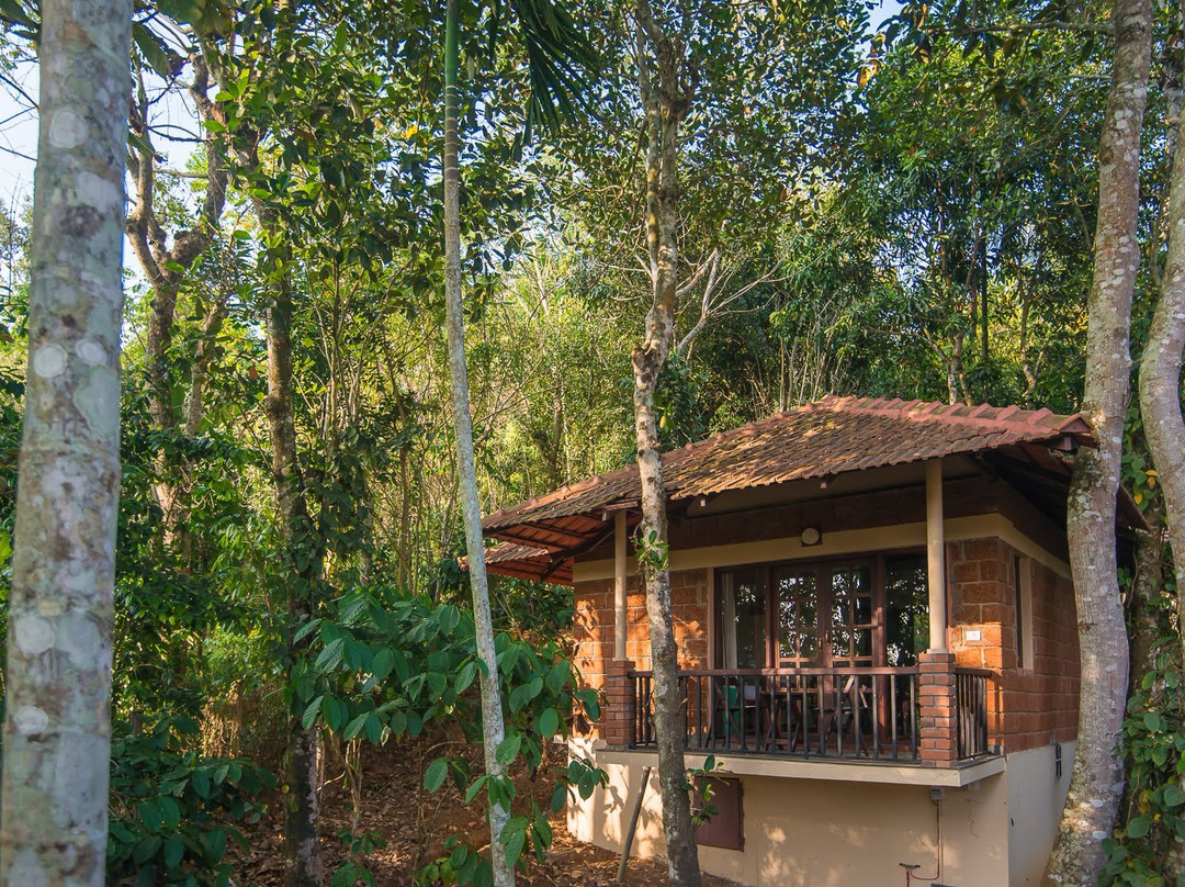 Raindrops Resorts主图