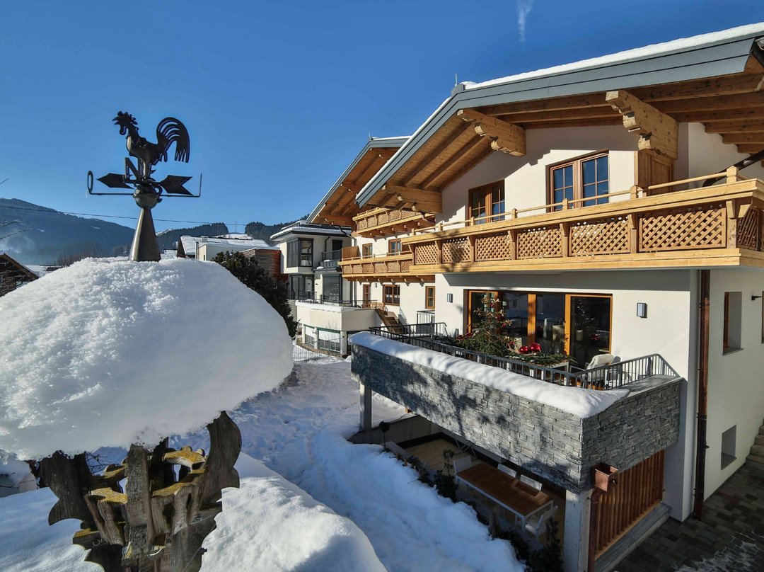 Aparthotel Steger主图