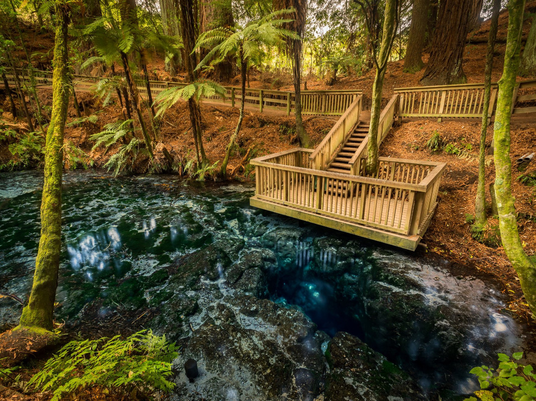 Hamurana Springs Nature Reserve景点图片
