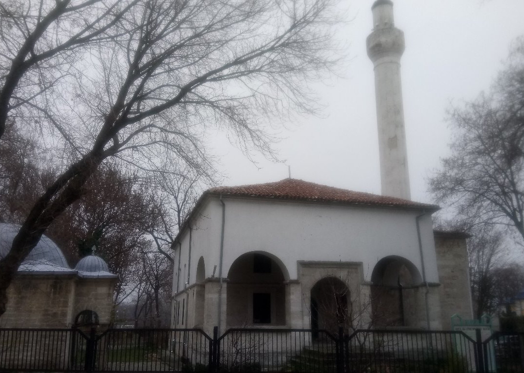Dzhamiya and Library-Vidin必去景点