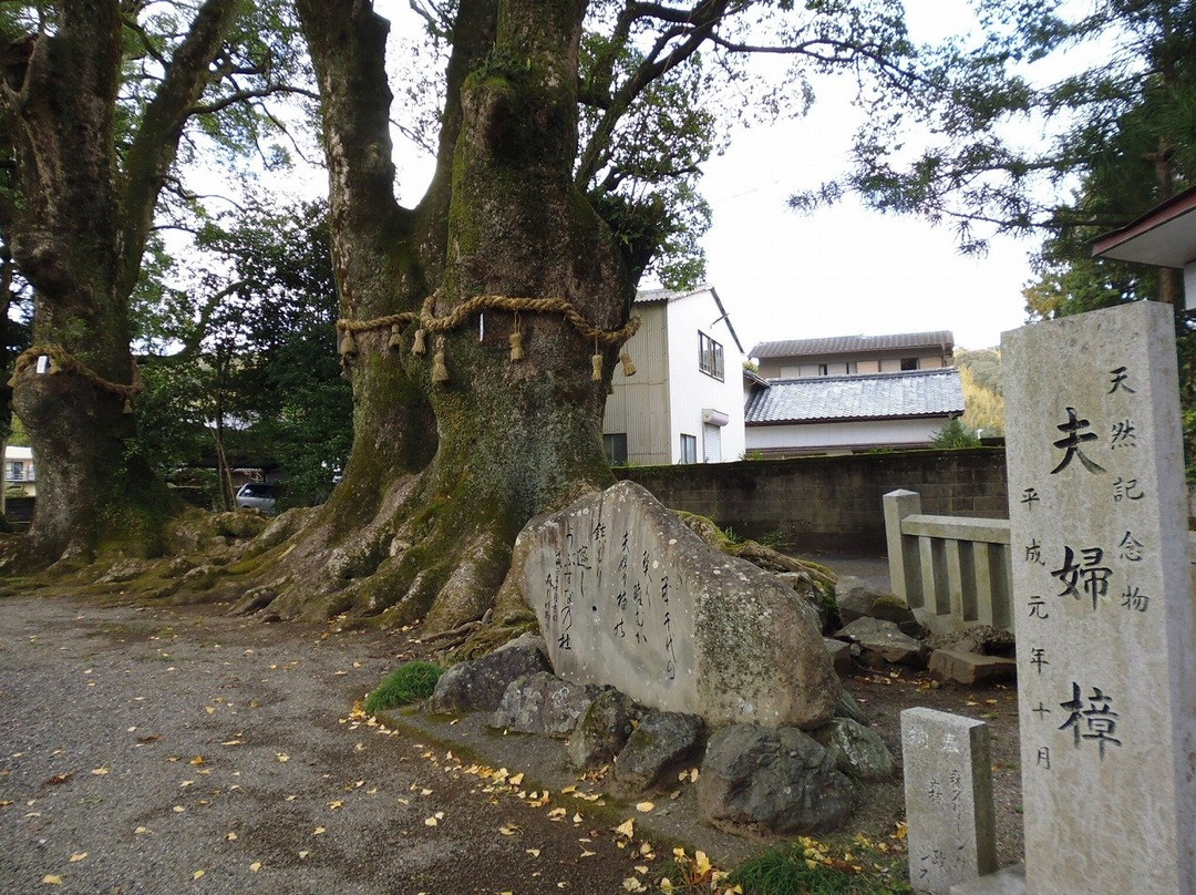Todoroki Shrine-阿南市必去景点