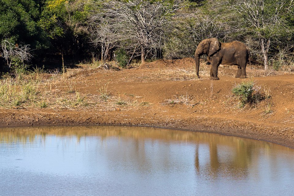 Somkhanda Game Reserve-浴室