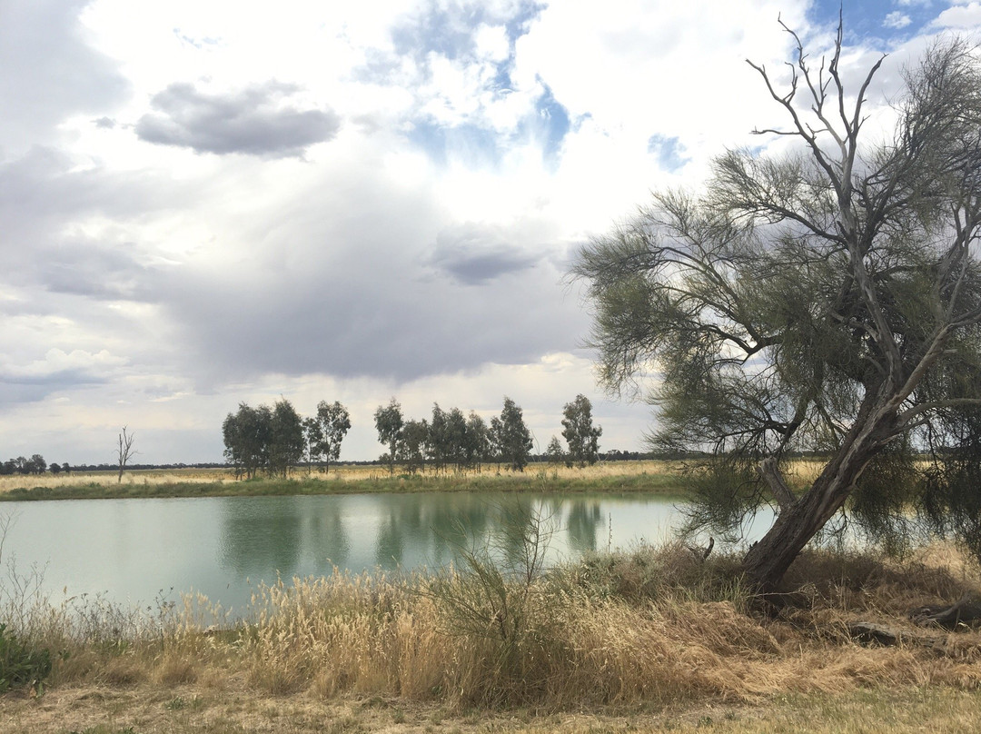 Minyip Wetlands景点图片