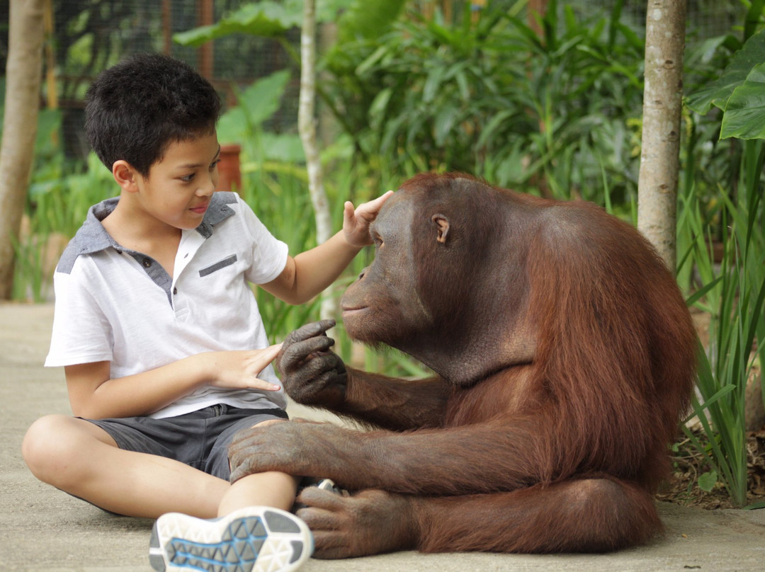 Lombok Wildlife Park-Tanjung必去景点