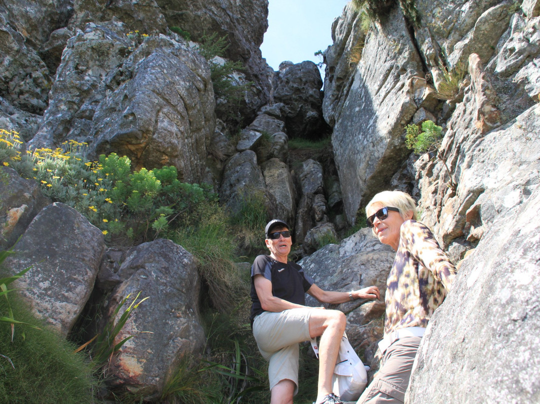 Venture Forth International-开普敦中心区必去景点