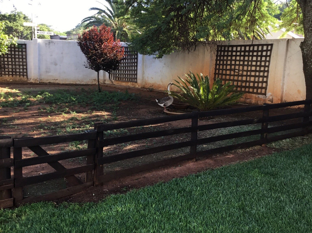 The King's Chateau主图