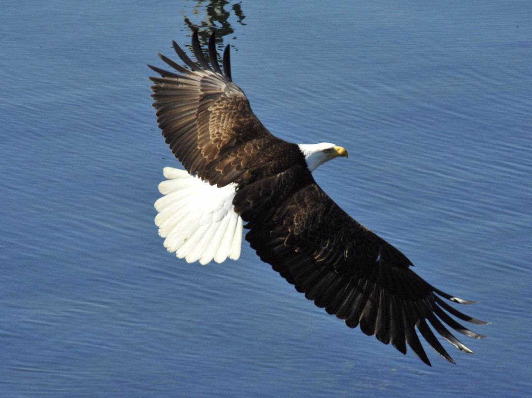 Petersburg Visitor Information Center-Petersburg必去景点