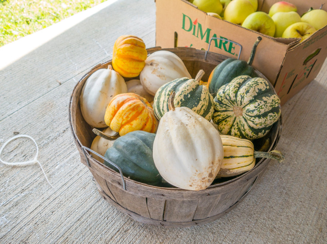 Habbeger's Amish Market-Scottsville必去景点