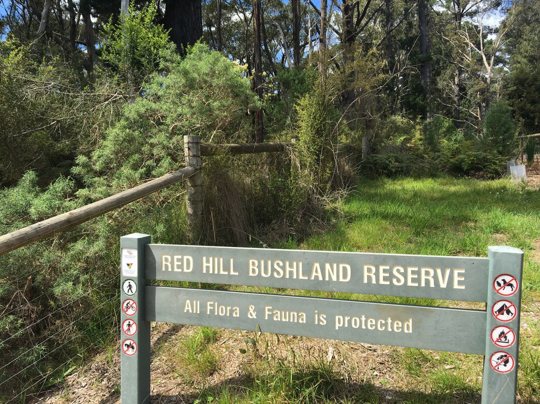 Red Hill Bushland Reserve景点图片