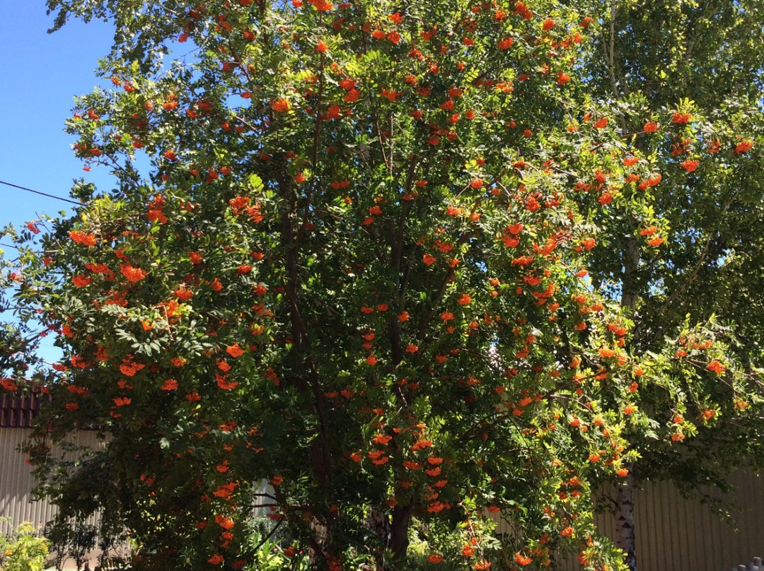 Balneary Garyache Dzherelo景点图片