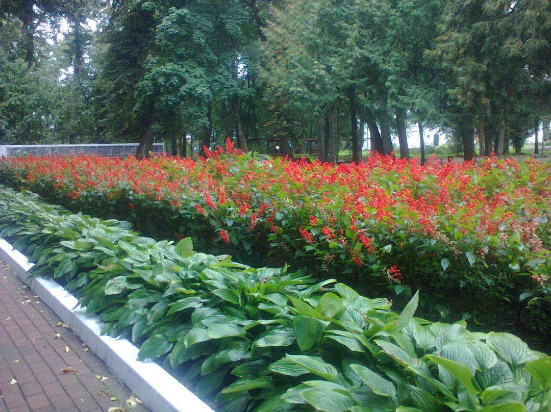 City Park named after M. Gorkiy景点图片