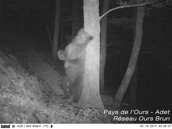 Pays de l'Ours - ADET-Arbas必去景点