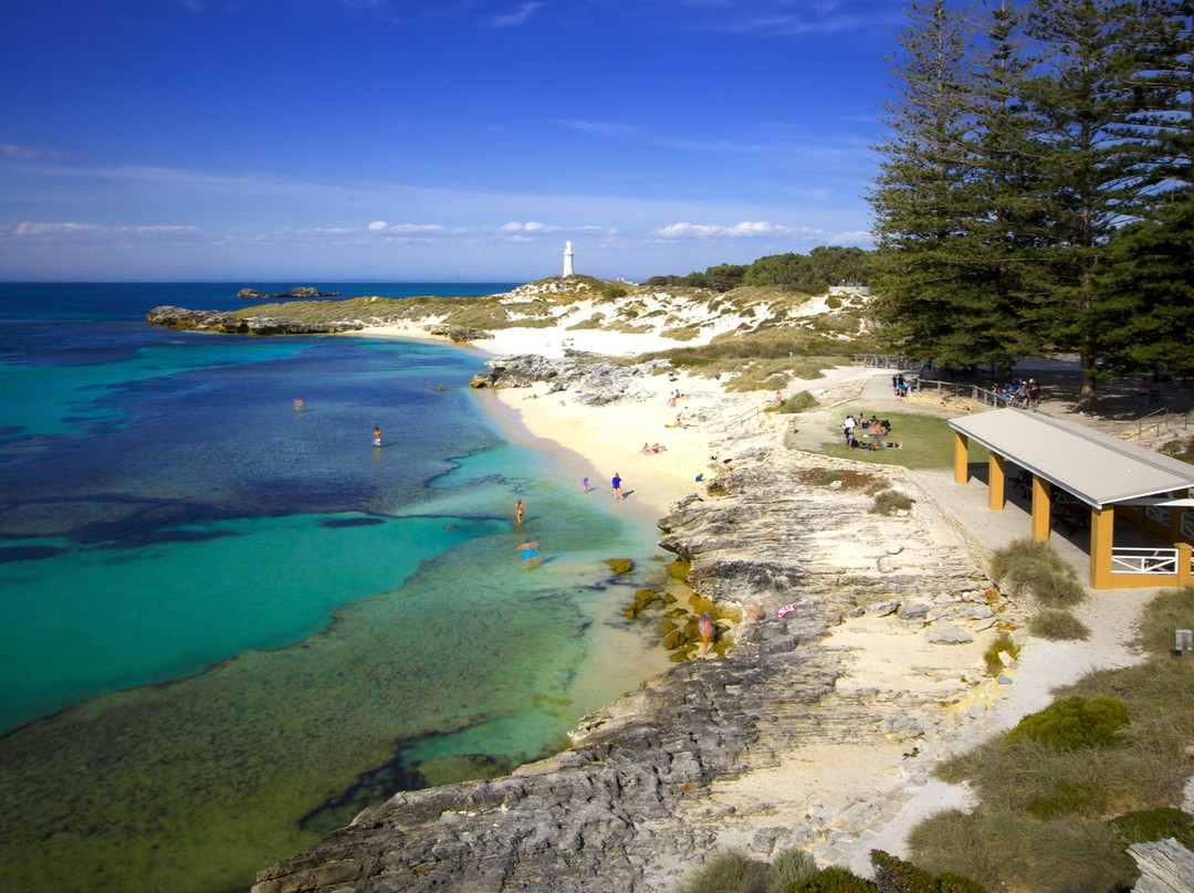 Rottnest Fast Ferries - Day Tours景点图片