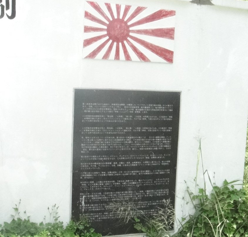 Kamikaze West Airfield景点图片