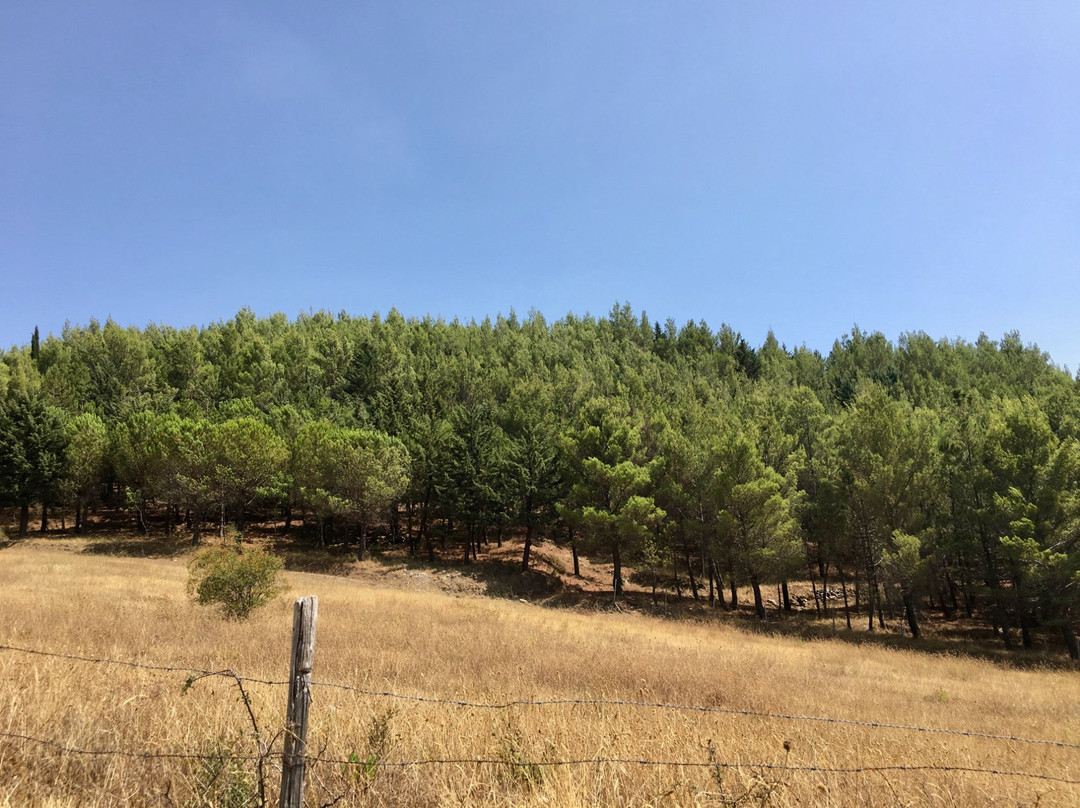 Parco Regionale del Taburno景点图片