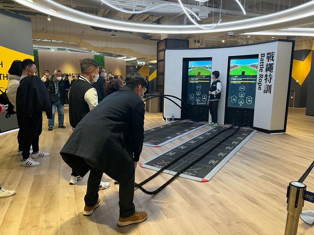 Shatin Racecourse Experience-香港必去景点