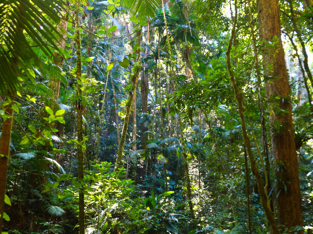São Francisco de Assis Municipal Natural Park-Blumenau必去景点