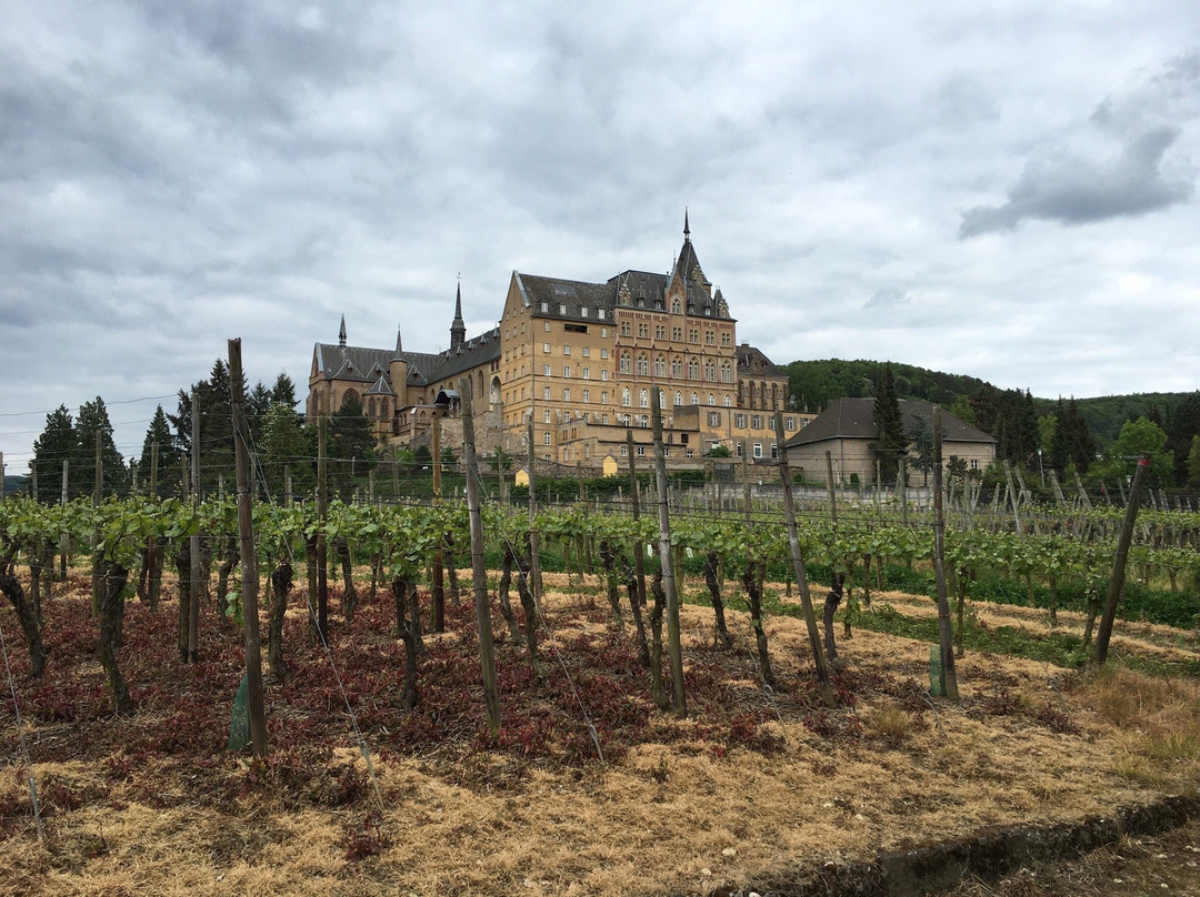 Kloster Kalvarienberg