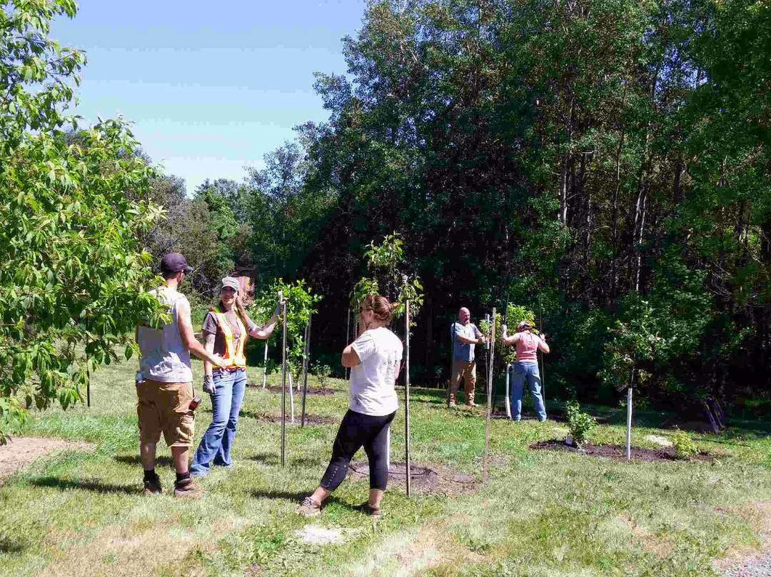 Fort Normandeau-红鹿市必去景点