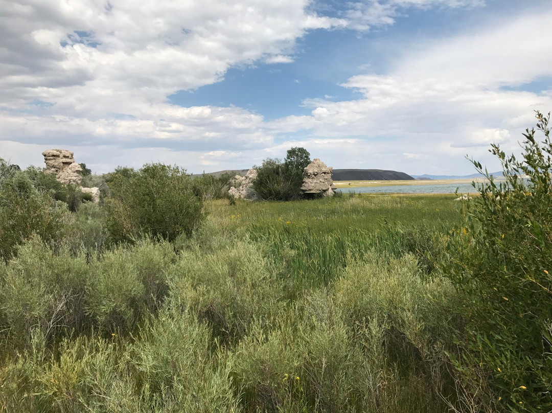 Mono Lake County Park景点图片
