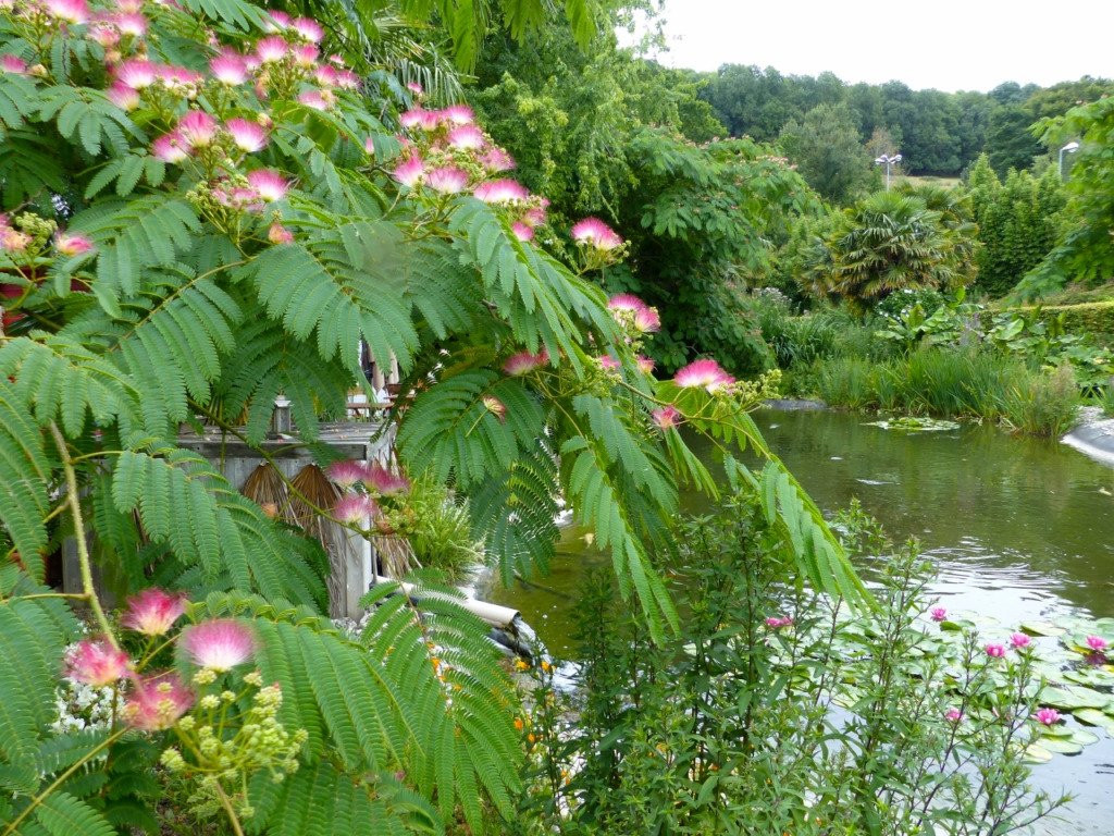 Les jardins de Louanne景点图片