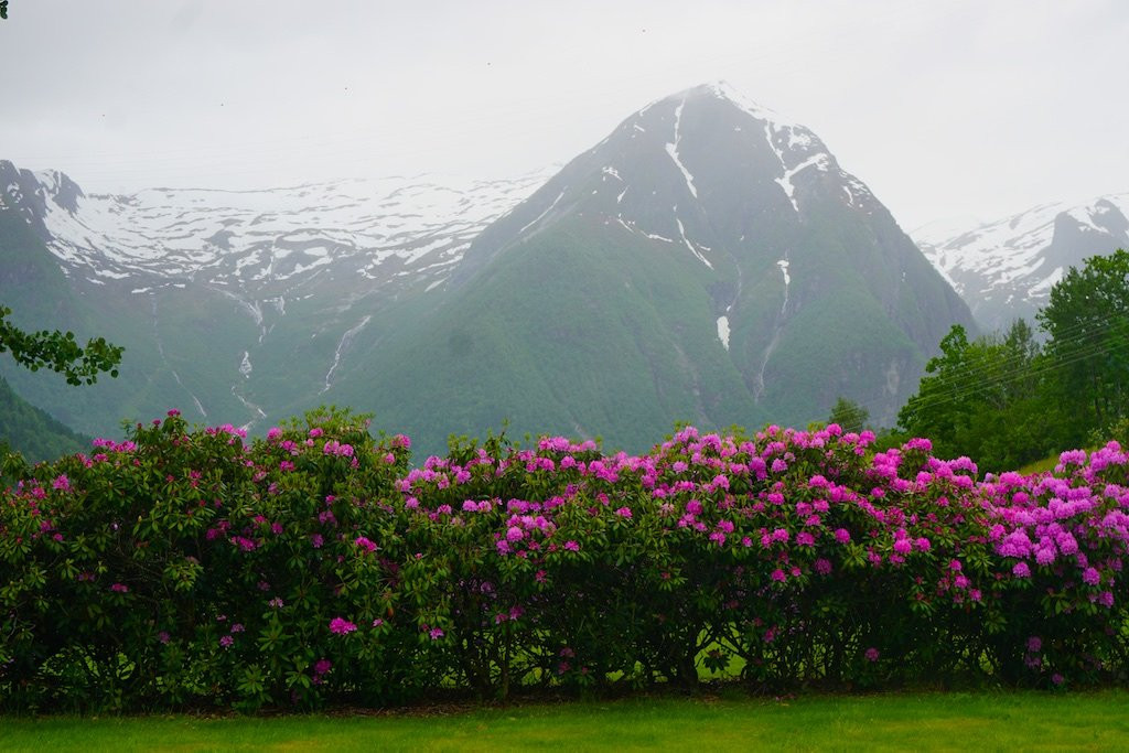 Lunde Arboretum景点图片