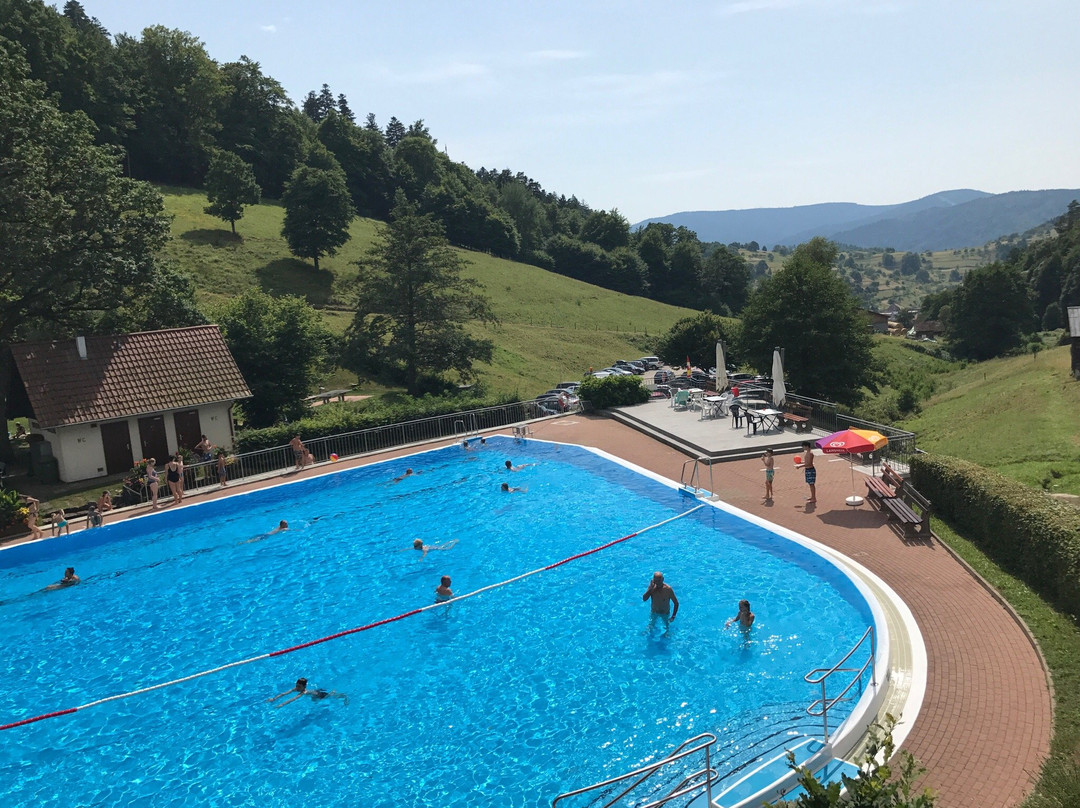 Schwimmbad Reichental景点图片