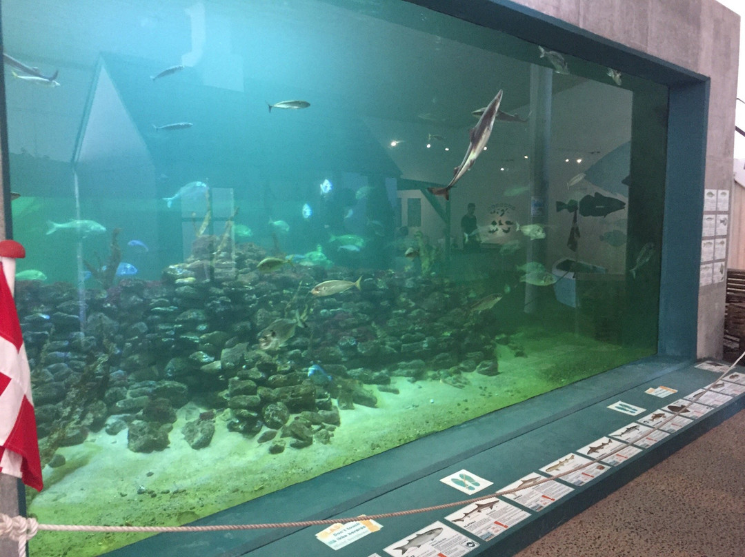 North Sea Aquarium-Vorupor必去景点