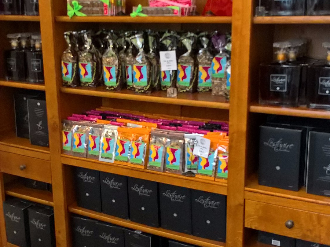 Les Noisettines du Medoc-Blaignan必去景点