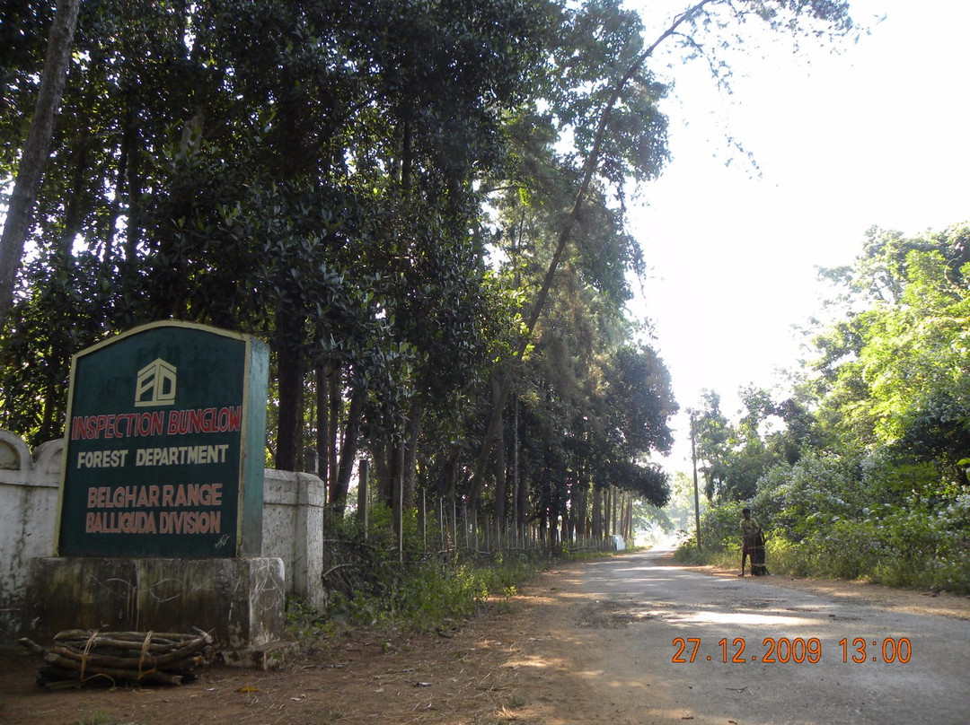 Belghar Nature Camp景点图片