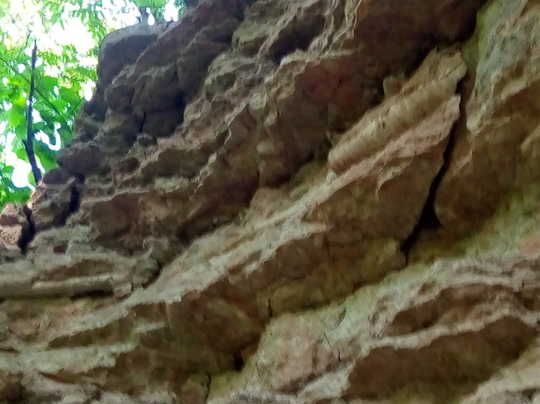 Canyon of River Lava景点图片