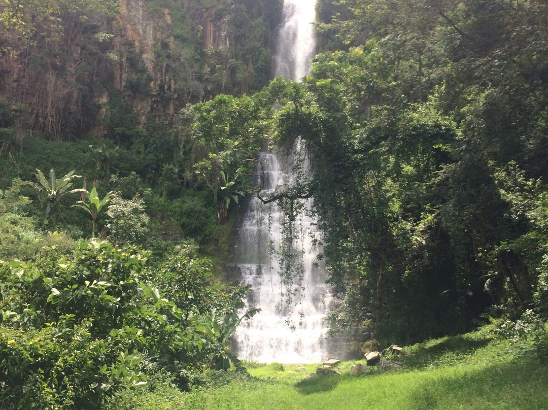 Bridalveil Falls景点图片