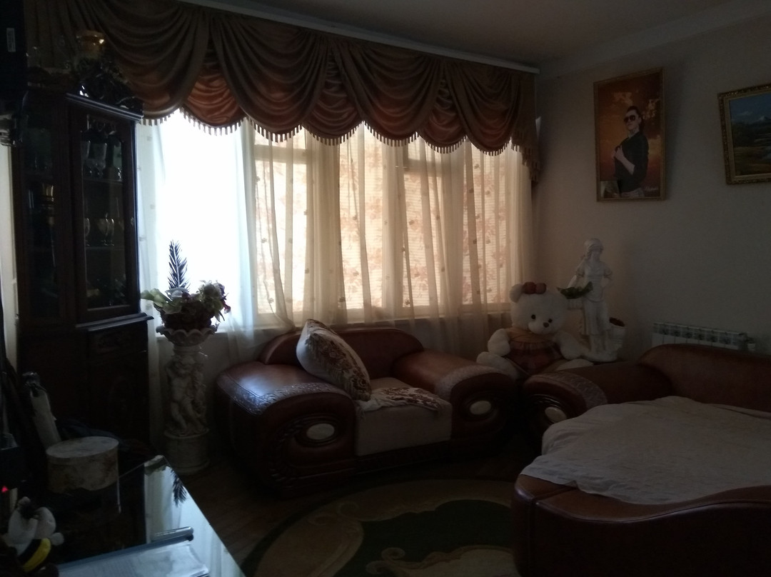Parisis B&B in Alaverdi主图