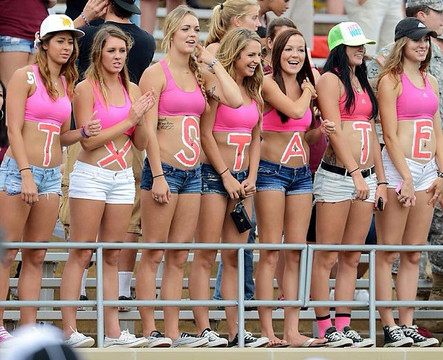 Bobcat stadium-圣马科斯必去景点