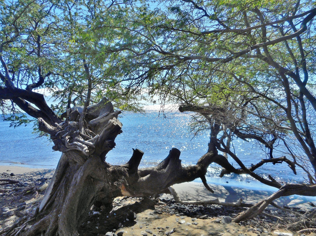Ukumehame Beach Park-拉海纳必去景点