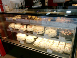 Gallery 4