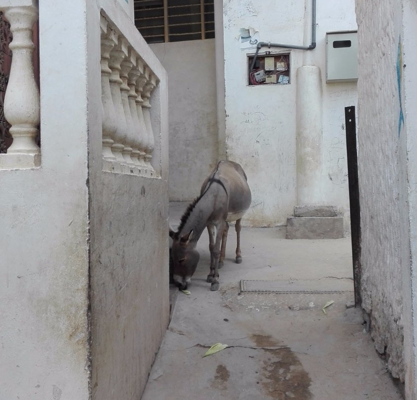 Siyu Fort-拉穆岛必去景点